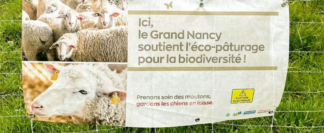 Eco-pâturage pour la biodiversité