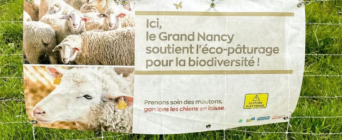 Eco-pâturage pour la biodiversité